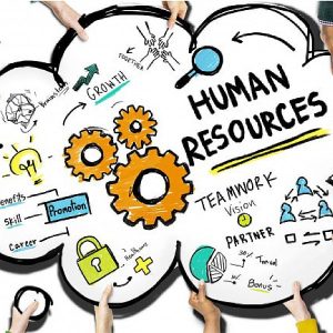 pgdm in human resource management